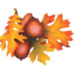 Darrach Denture Clinic logo
