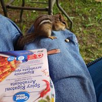 Horseshoe Lake Camp & Cottages logo