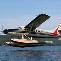 Watson's Skyways Ltd logo