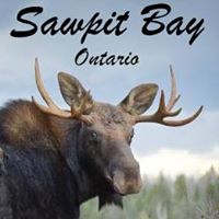 Sawpit Bay Motel & Cabins logo