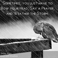 Walford Apartments logo