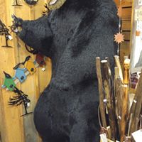 Northwest Trading Company logo