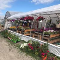 John's Flower Shop & Greenhouses logo