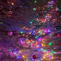 Howard Armstrong Recreation Centre logo