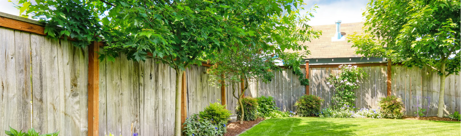 Gee's Trees - Sault Ste Marie, ON | Northern Ontario Local