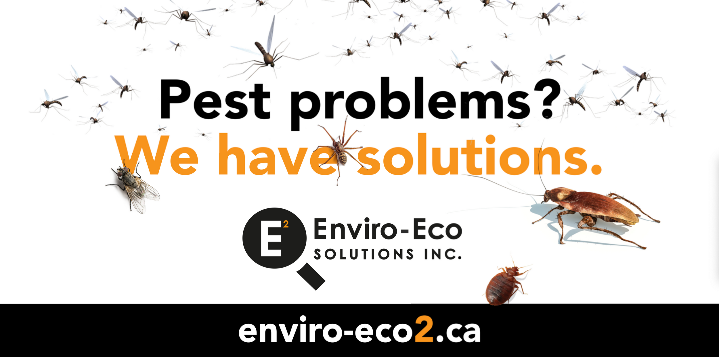 Enviro-Eco Solutions Inc logo