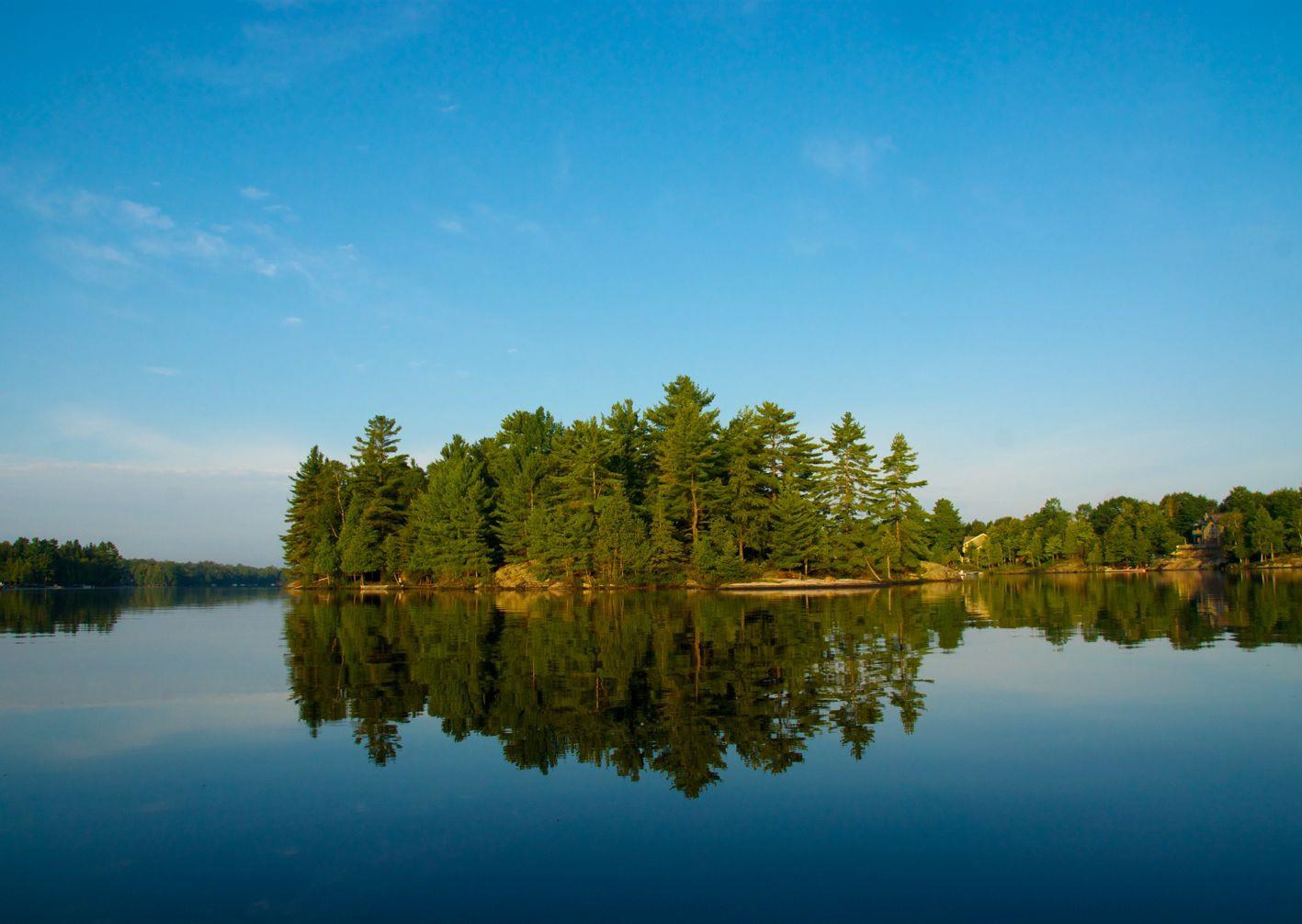 The Mckellar Market logo