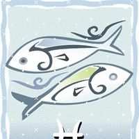 Baas Physiotherapy logo