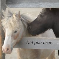 Timmins Therapeutic Riding Association logo