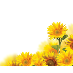 Forget-Me-Not Flowers & Gifts logo