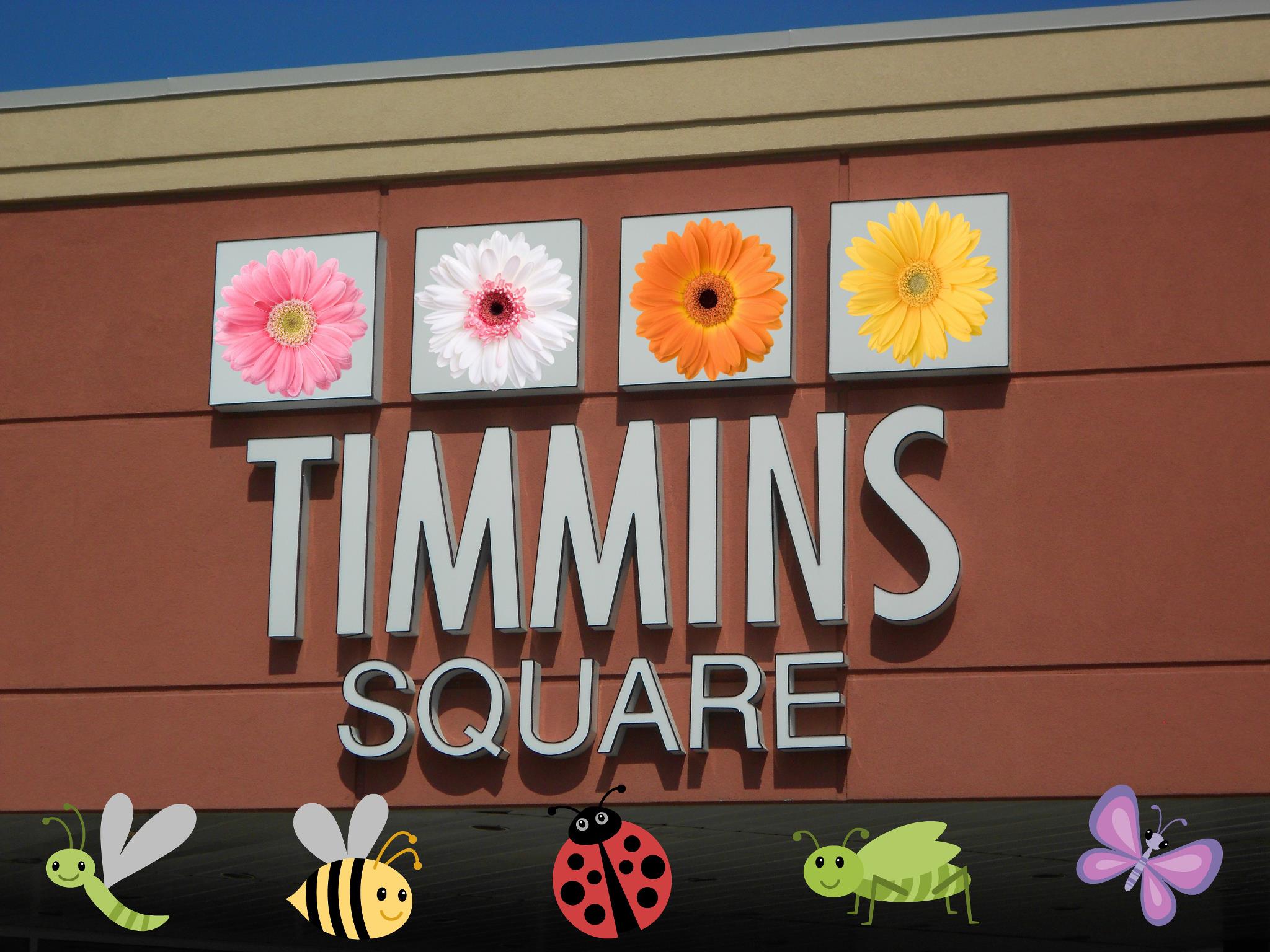 Timmins Square Shopping Centre Timmins, ON Northern Ontario Local