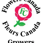 Obdam's Flowers logo