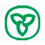 John Caruso's Team Automotive logo