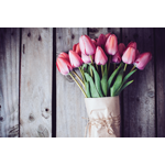 Dorothy's Flower Shop logo